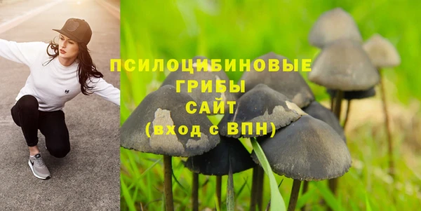 альфа пвп Арсеньев