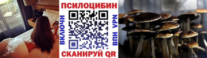 даркнет сайт  Кинель  Галлюциногенные грибы GOLDEN TEACHER 